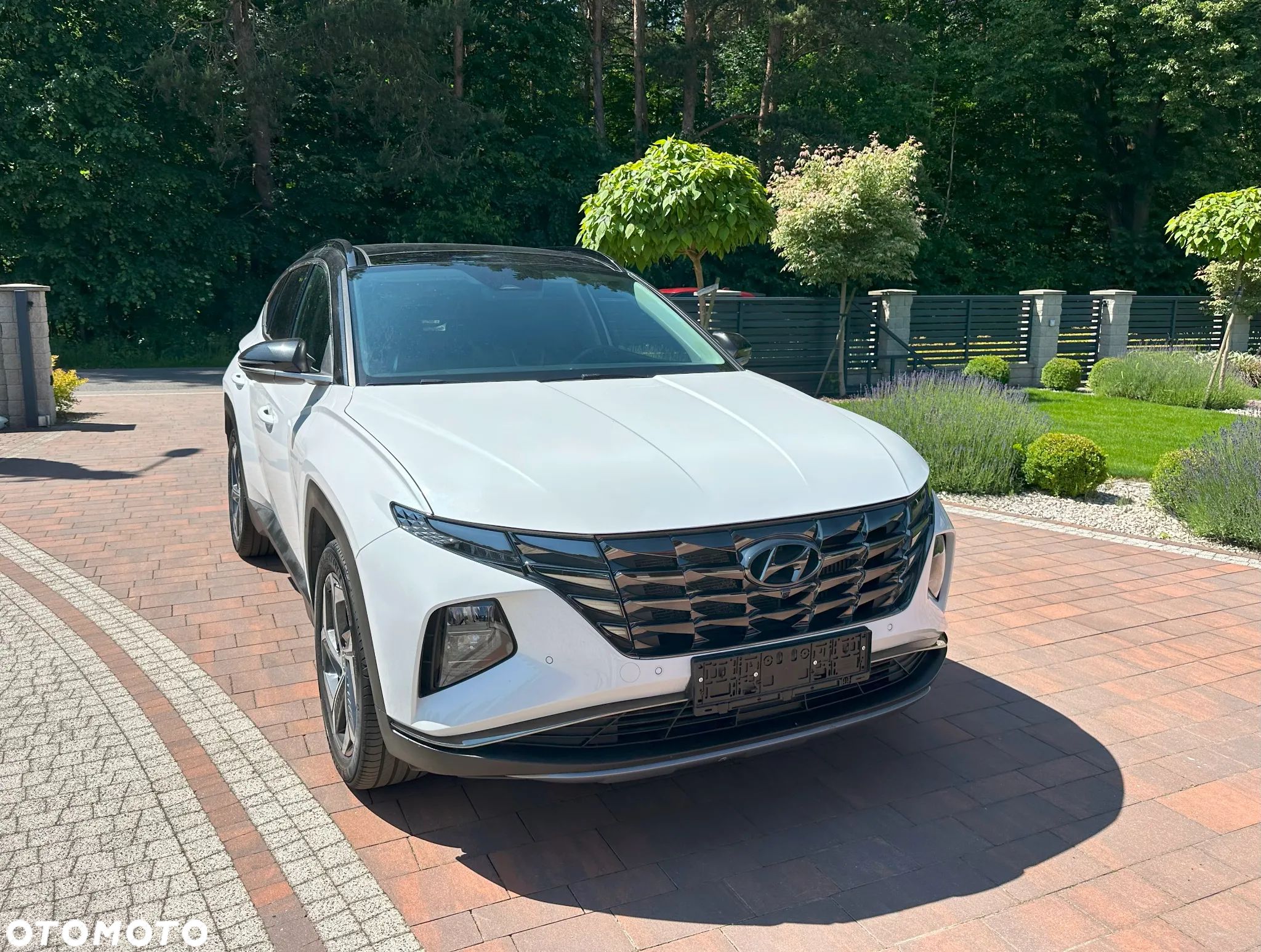 Hyundai Tucson 1.6 CRDi 48V-Hybrid 2WD DCT Prime - 1