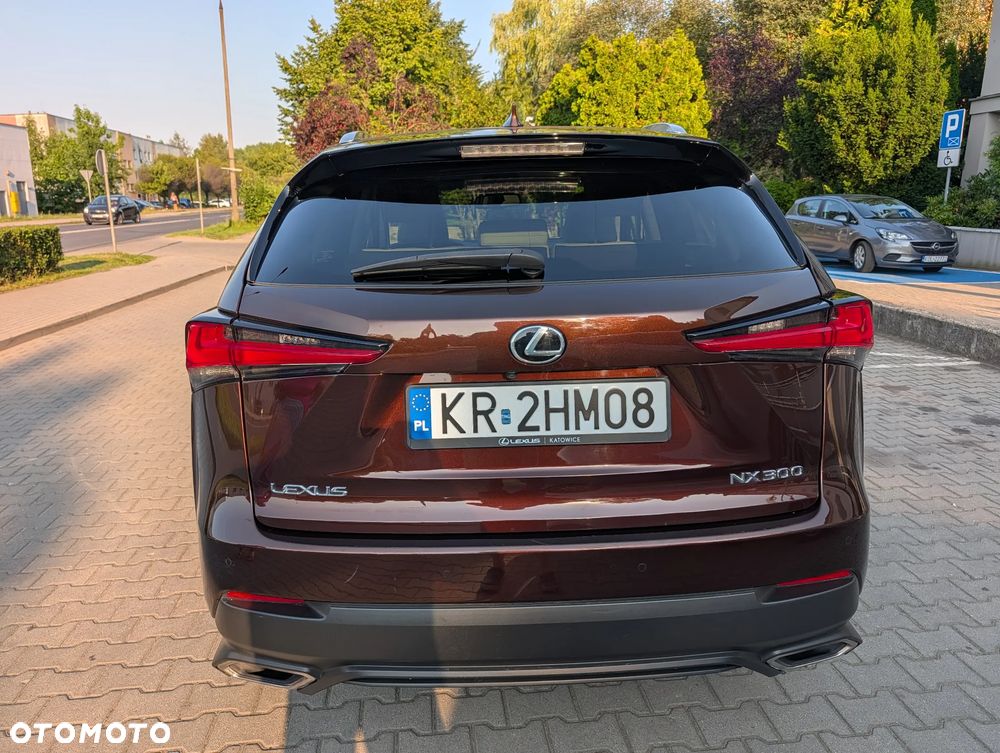 Lexus NX 300 Comfort AWD - 5