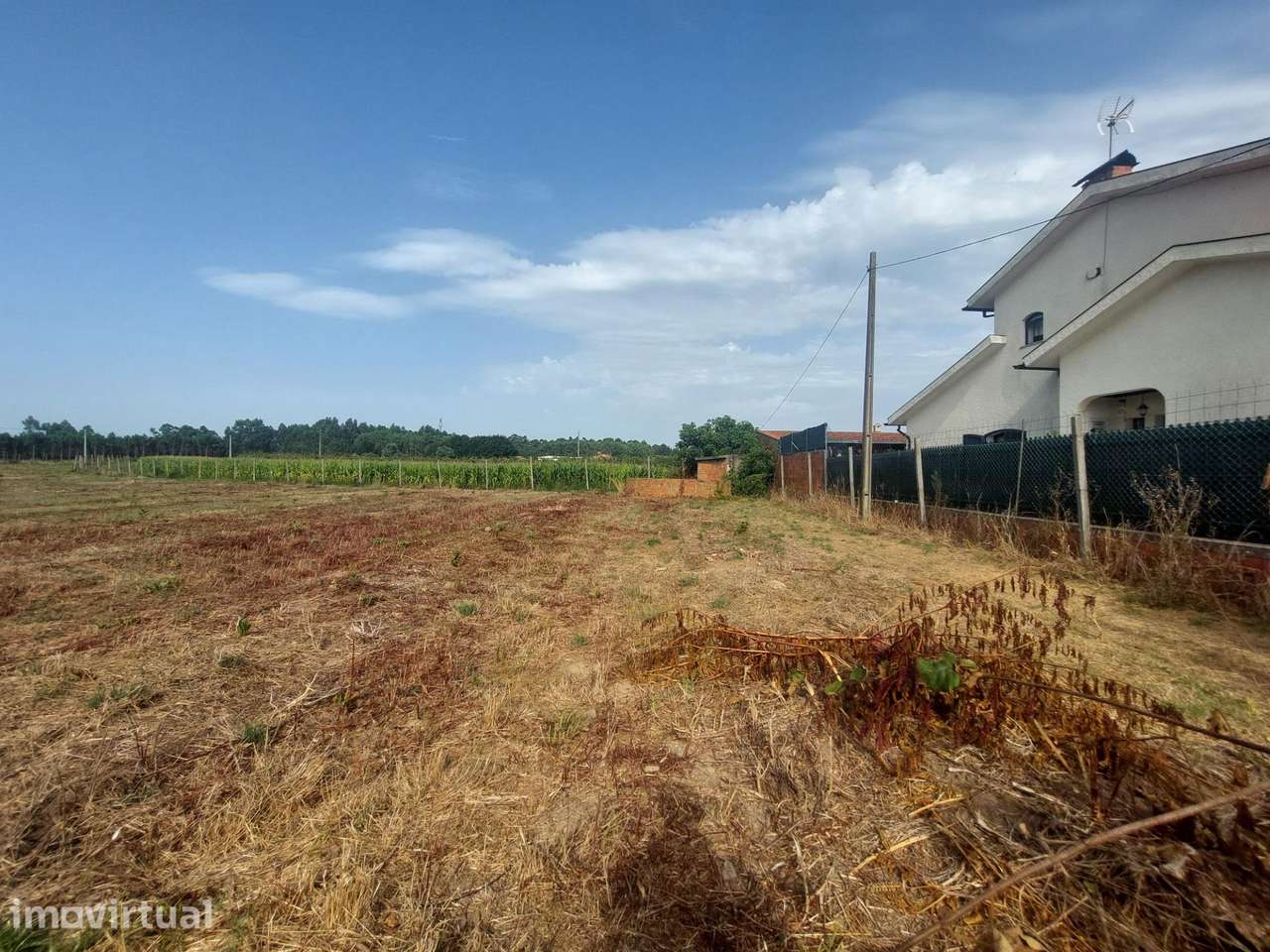 Terreno Rústico com 4.195 m2 em Oiã - Grande imagem: 4/11