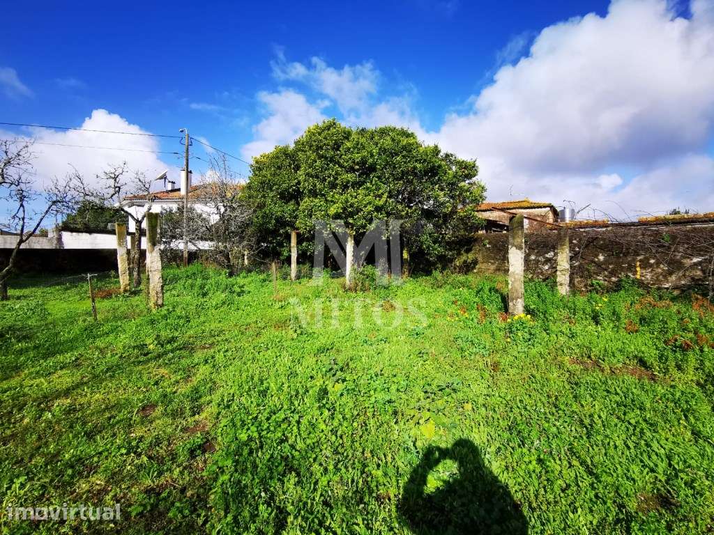 Terreno para venda em Santa Marta - Grande imagem: 2/6