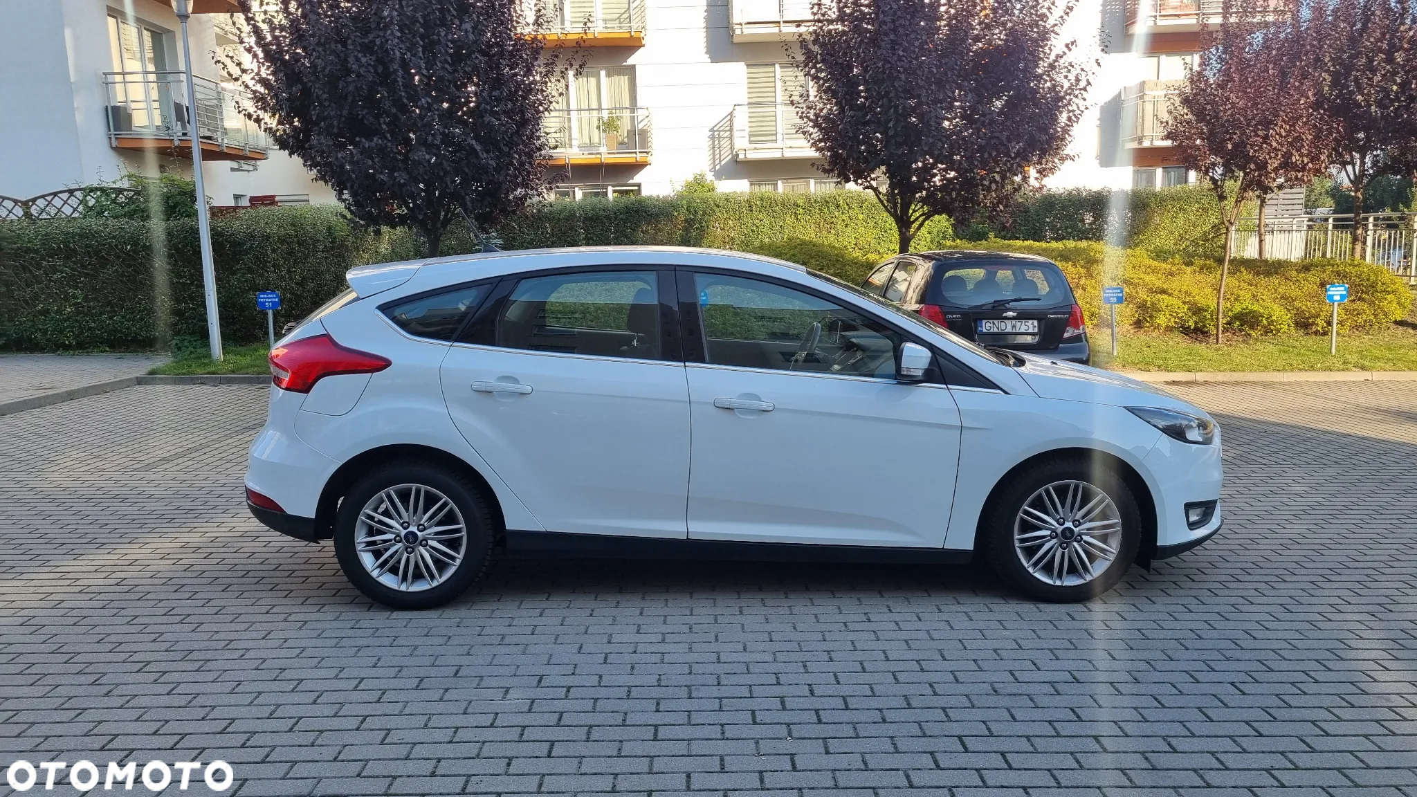 Ford Focus - 4