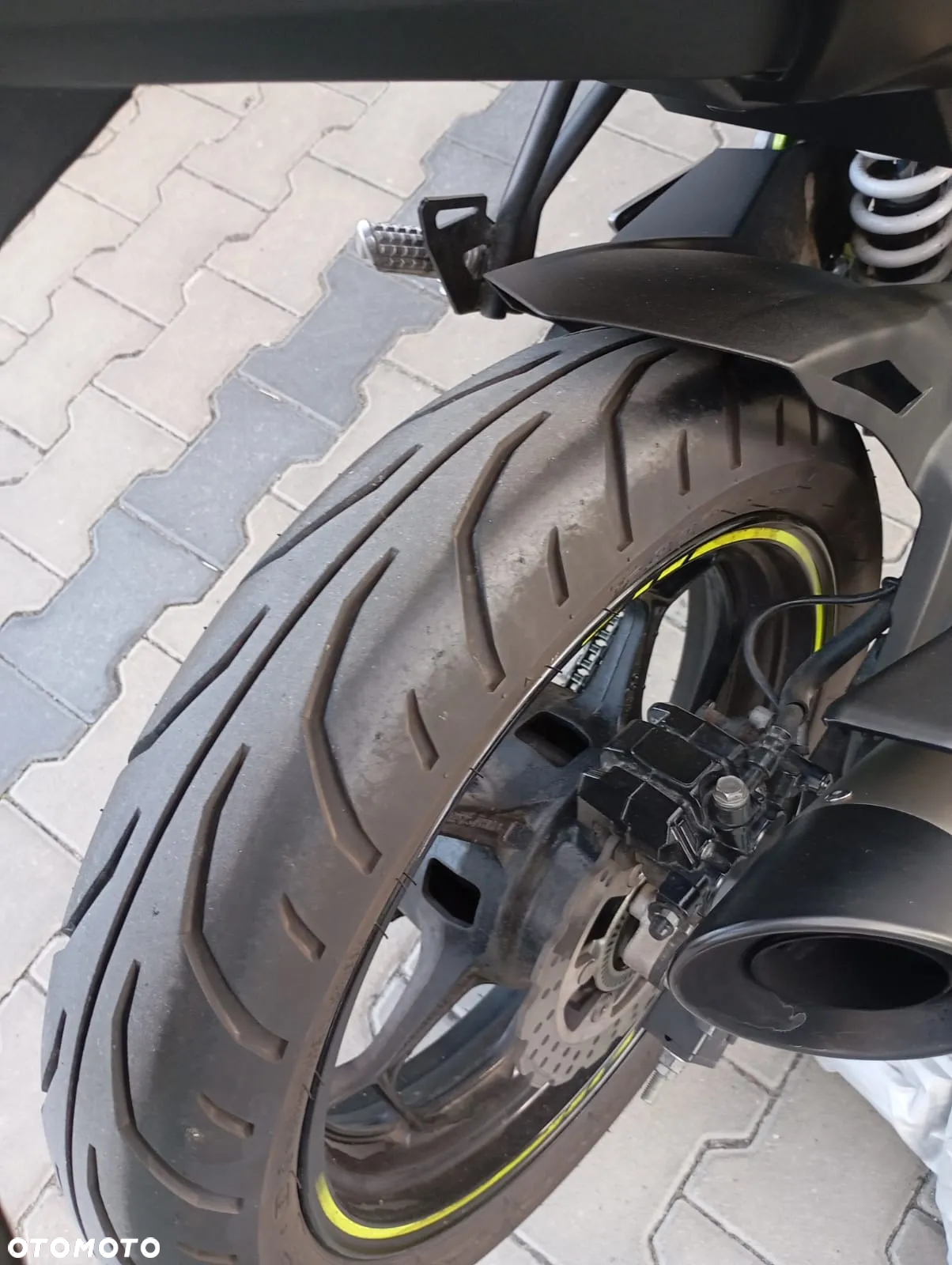 Kawasaki Ninja - 10