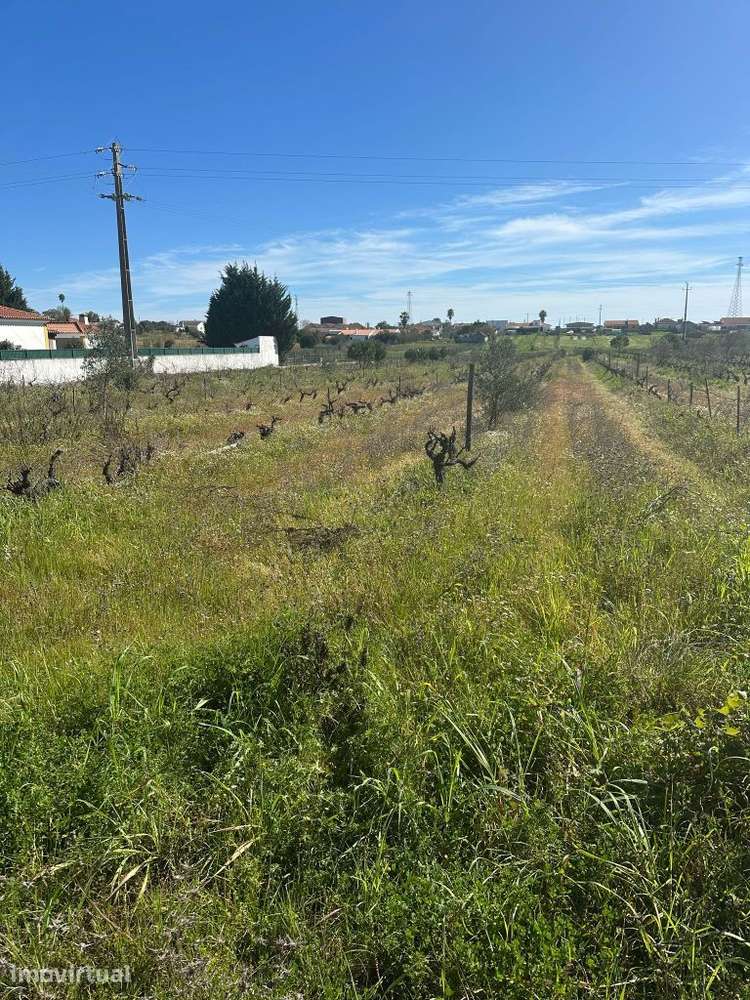 Terreno 5000m2 Urbanizavel - Grande imagem: 3/5