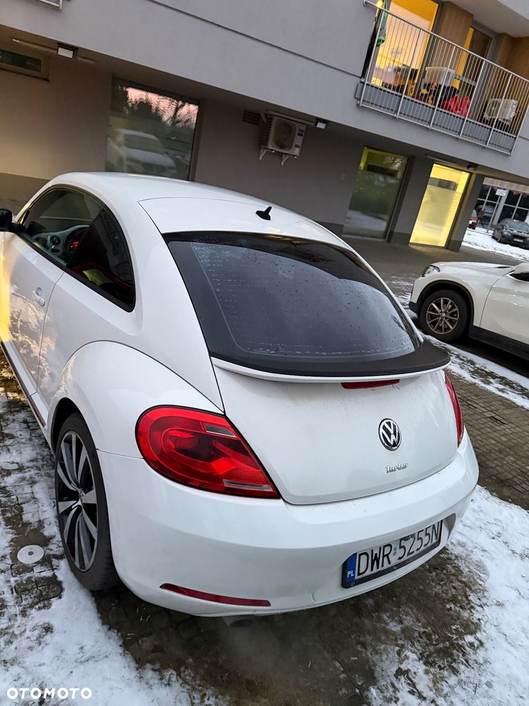 Volkswagen Beetle - 10