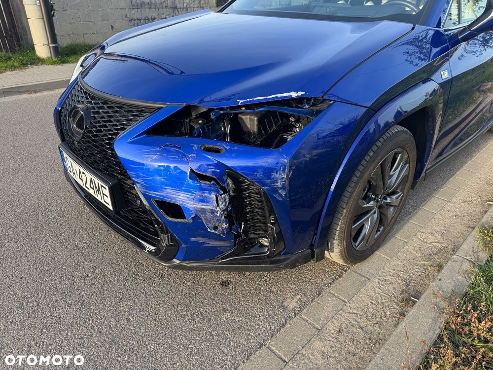 Lexus UX 300h F Sport - 12