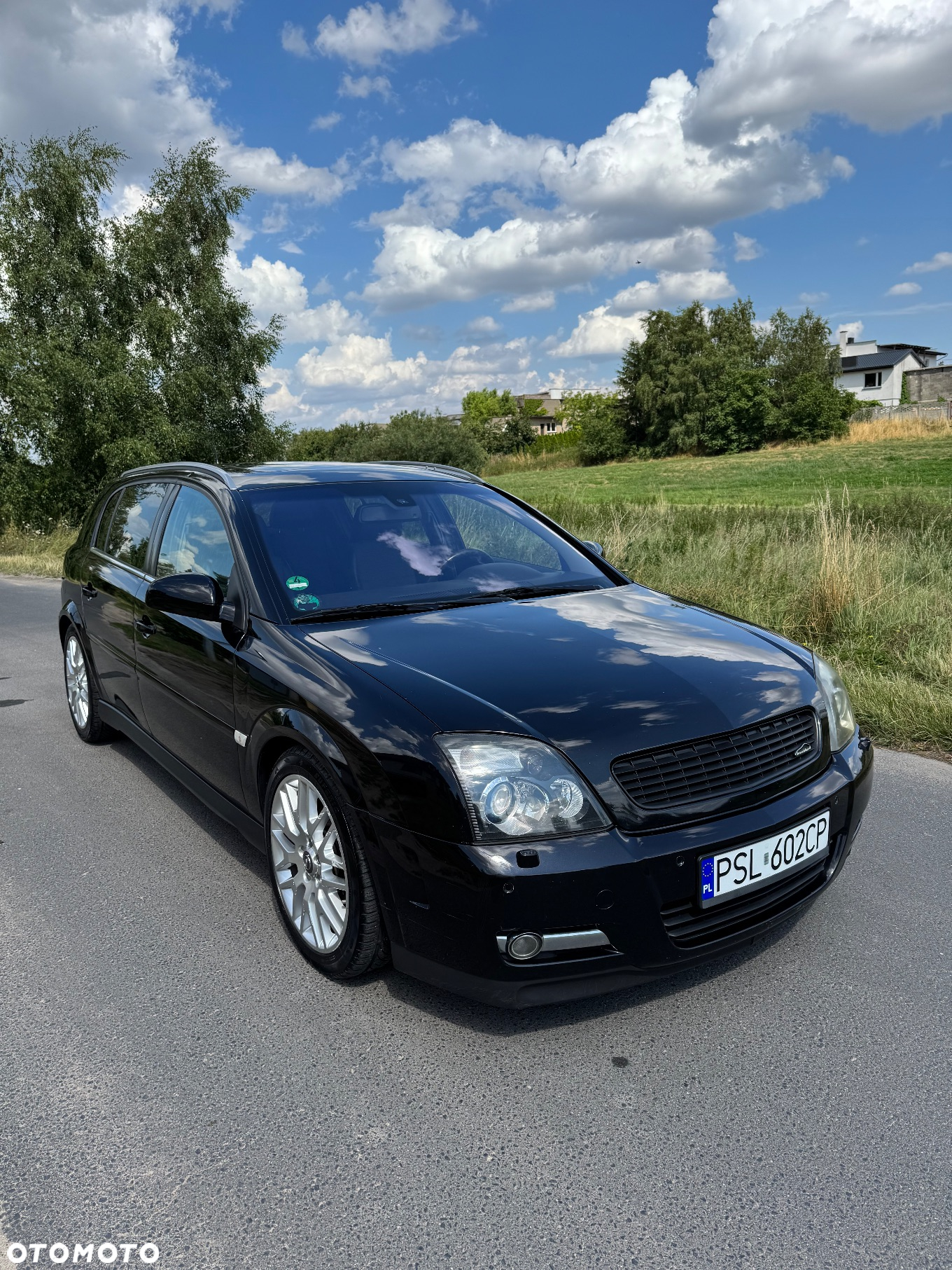Opel Signum 1.9 CDTI Sport - 3
