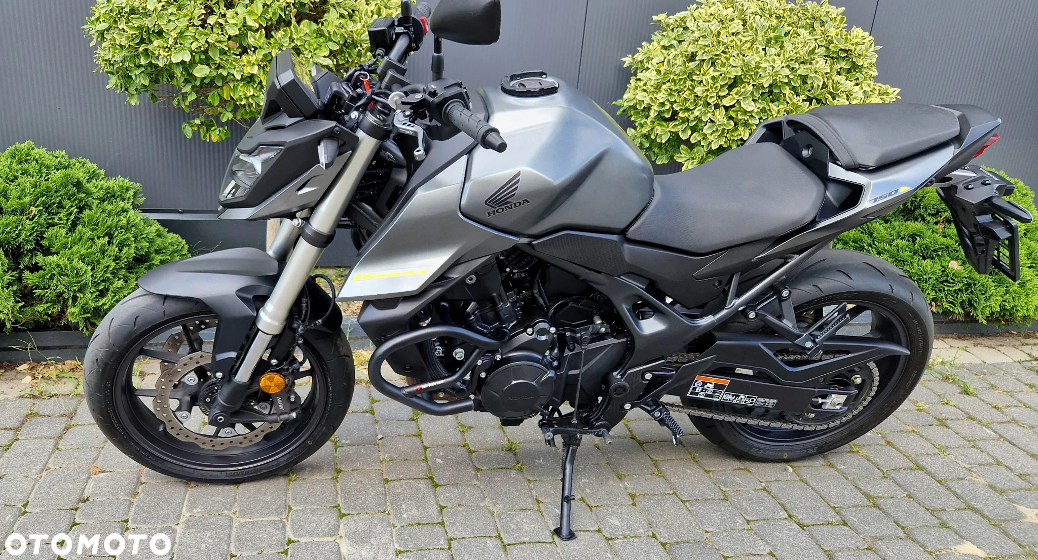 Honda Hornet - 29