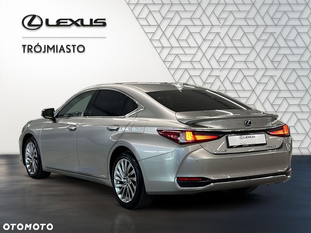 Lexus ES 300h Omotenashi - 4
