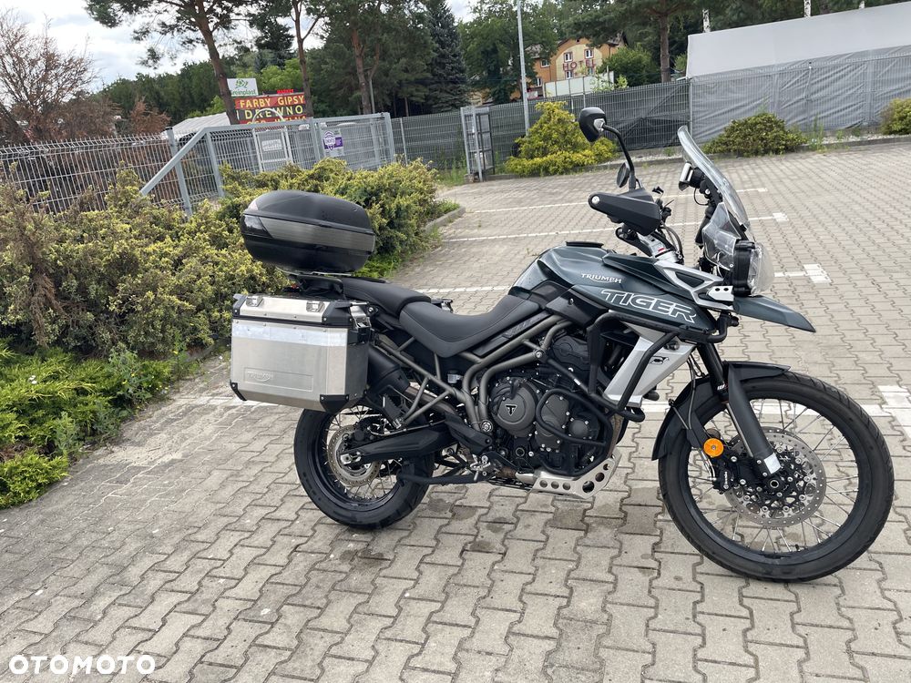 Triumph Tiger - 3