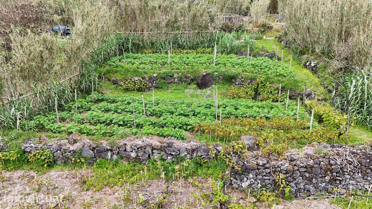 Terreno Rústico na Fajã do Calhau – Um Refúgio em Plena Natureza - Grande imagem: 5/13