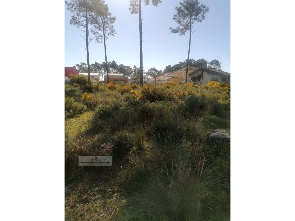 Terreno urbano com 3977 m2 na Aroeira, Charneca de Caparica. - Grande imagem: 3/16