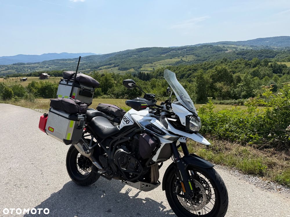 Triumph Tiger - 1