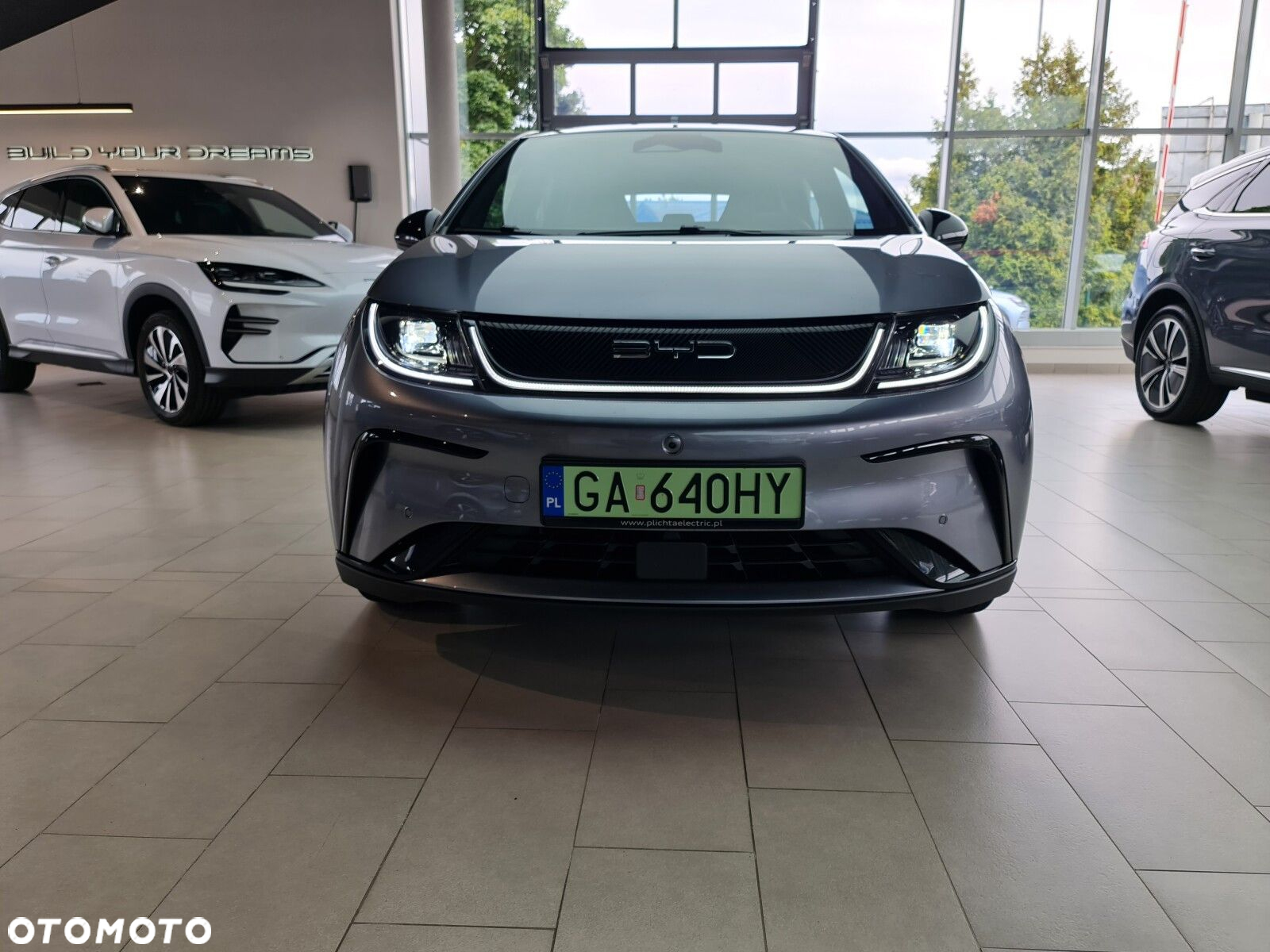 BYD Dolphin - 2