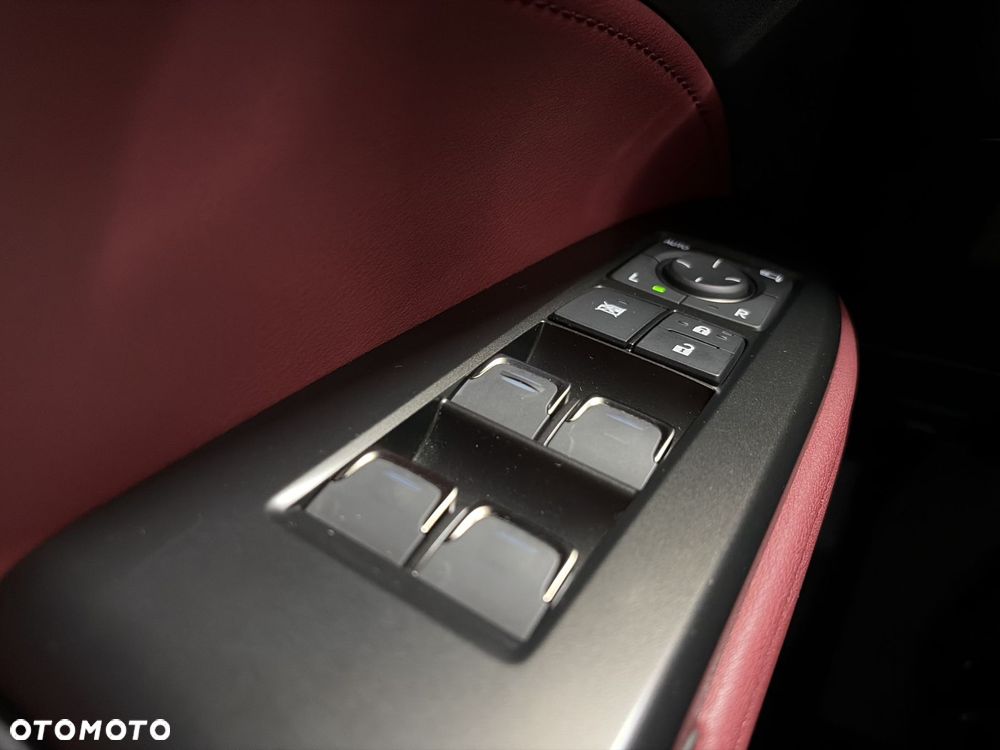 Lexus NX - 19