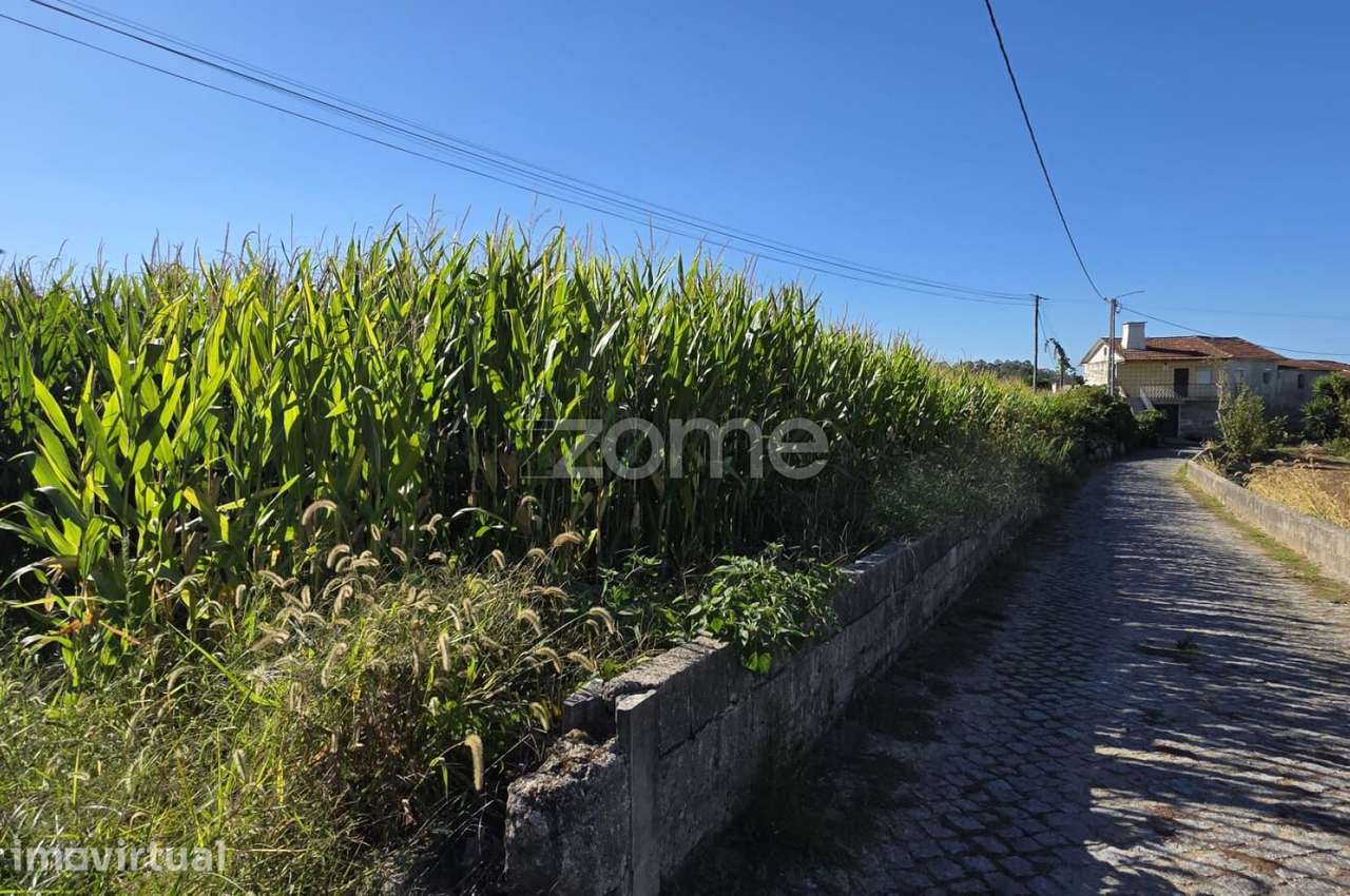 Terreno Agrícola em Sequeade, Barcelos - Grande imagem: 2/6