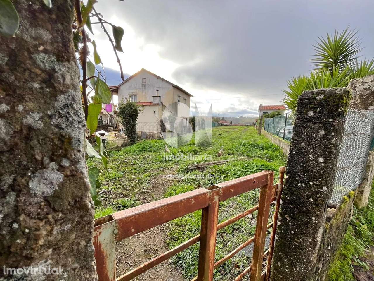 Terreno em Sabrosa - Grande imagem: 3/34