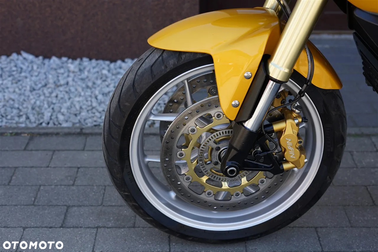 Triumph Tiger - 31