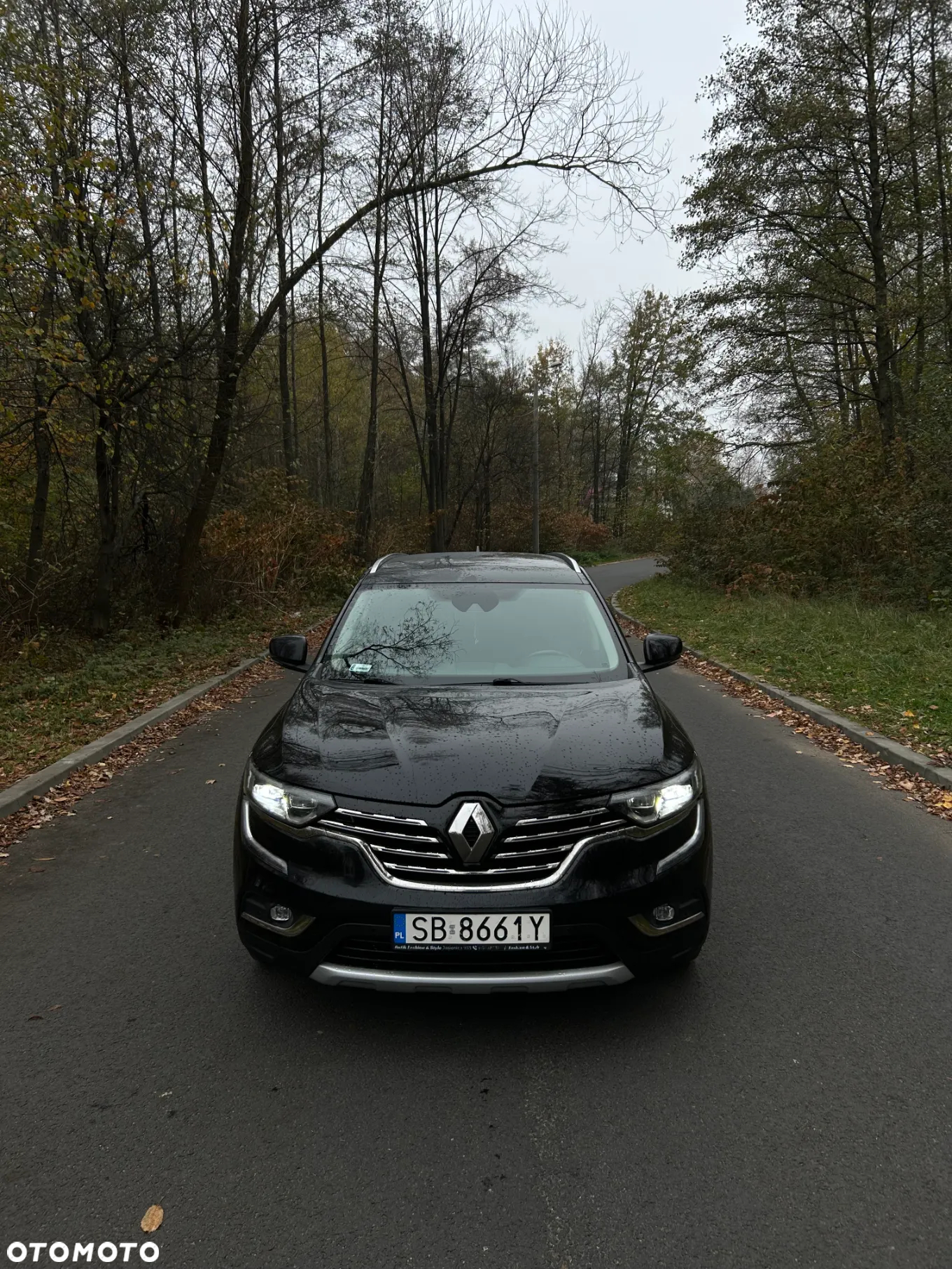 Renault Koleos 2.0 dCi Intens 4x4 X-Tronic - 2
