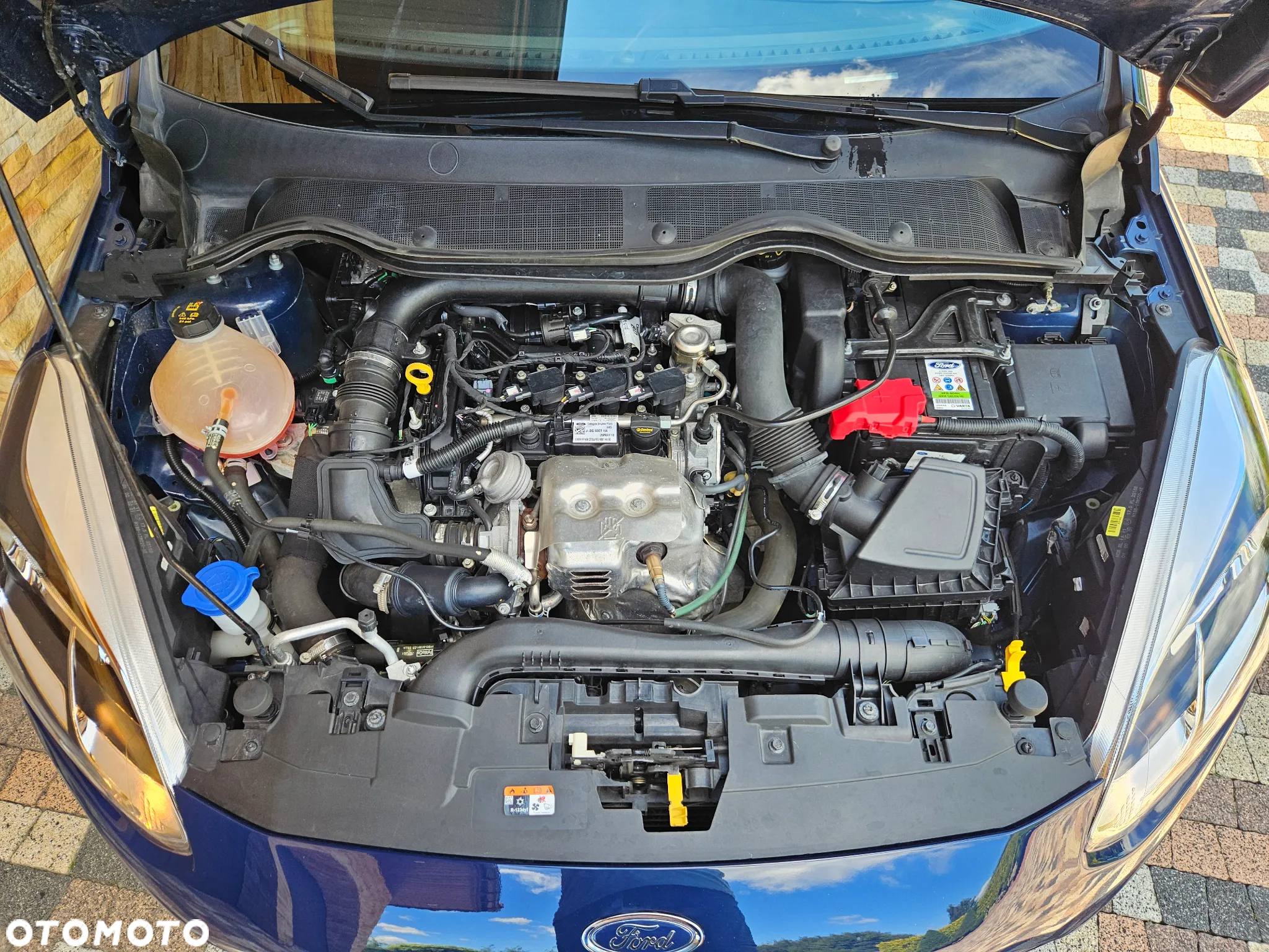 Ford Fiesta - 30
