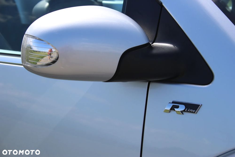 Volkswagen New Beetle - 22