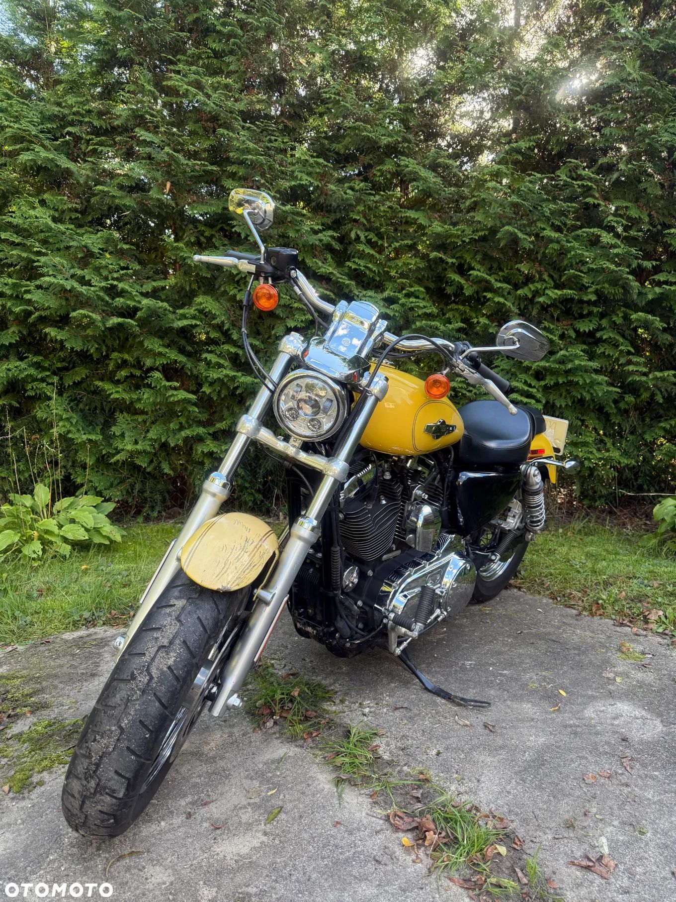 Harley-Davidson Sportster Custom 1200C - 1