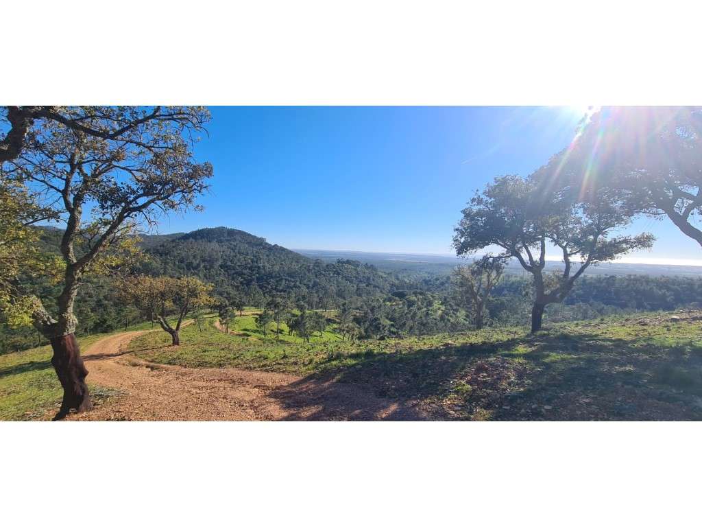 Monte com vista Mar - Grande imagem: 2/26