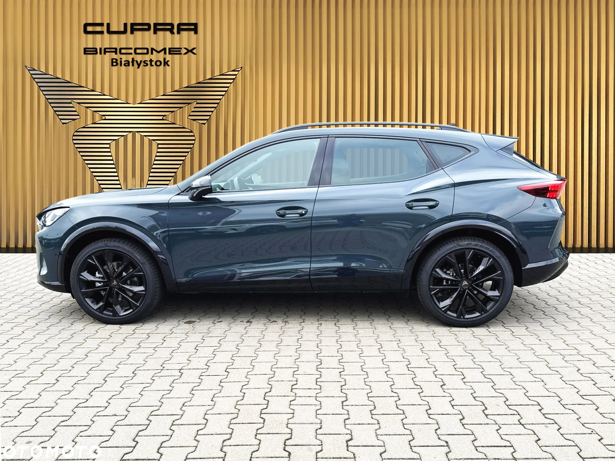 Cupra Formentor 2.0 TSI 4Drive DSG - 3