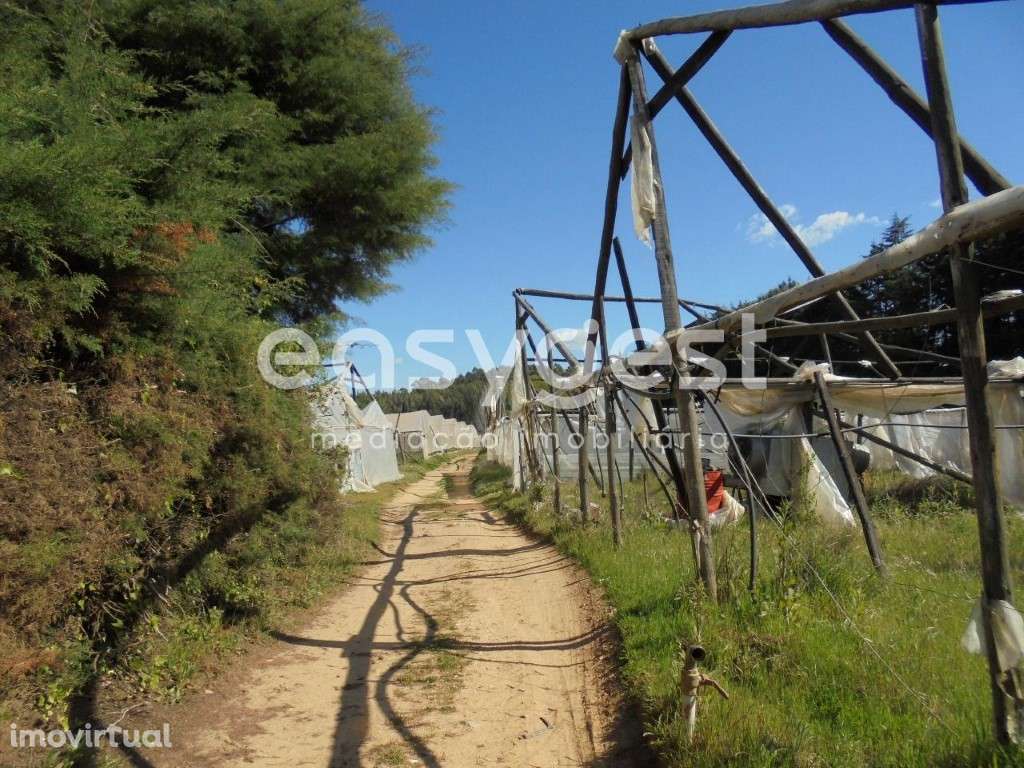 Terreno Rústico localizado 3 km da Vila de Ferreira do Zêzere - Grande imagem: 3/17
