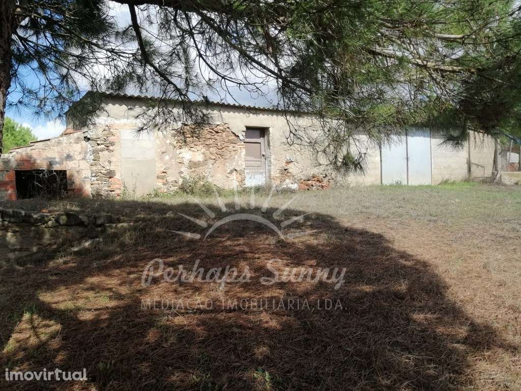 Quinta em São Bartolomeu da Serra - Santiago do Cacem - Grande imagem: 5/29
