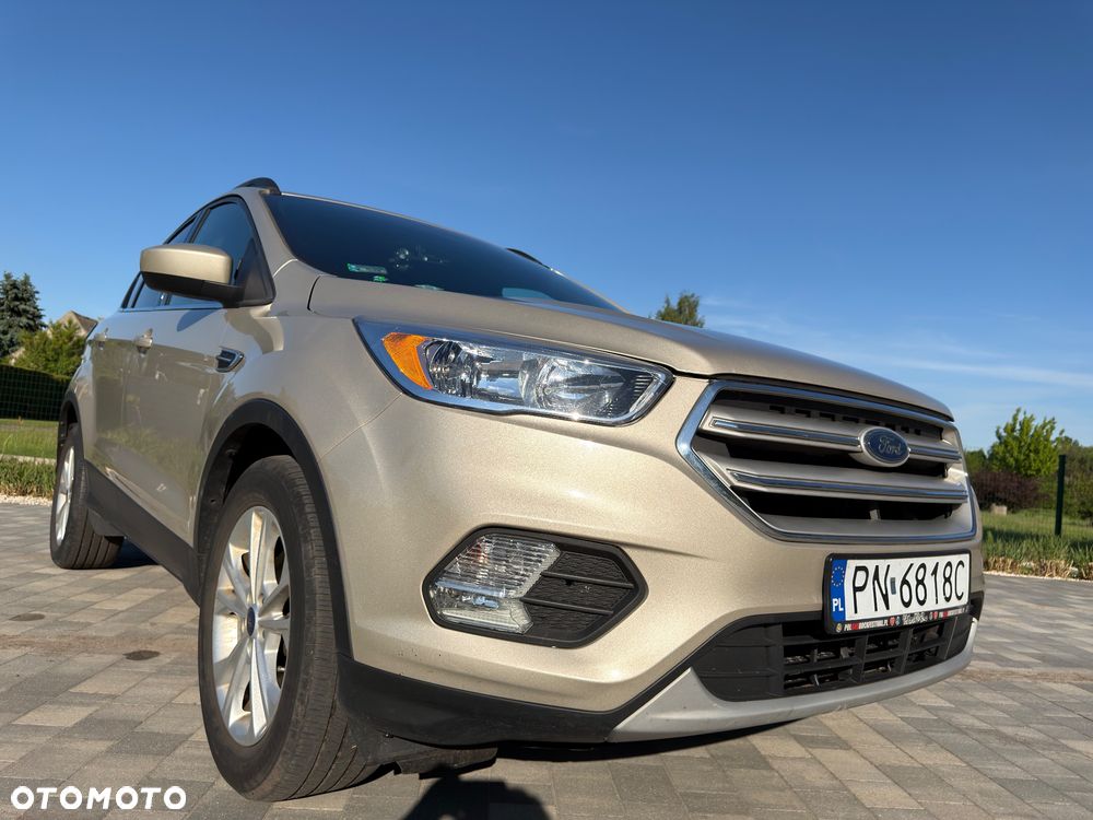 Ford Escape - 6