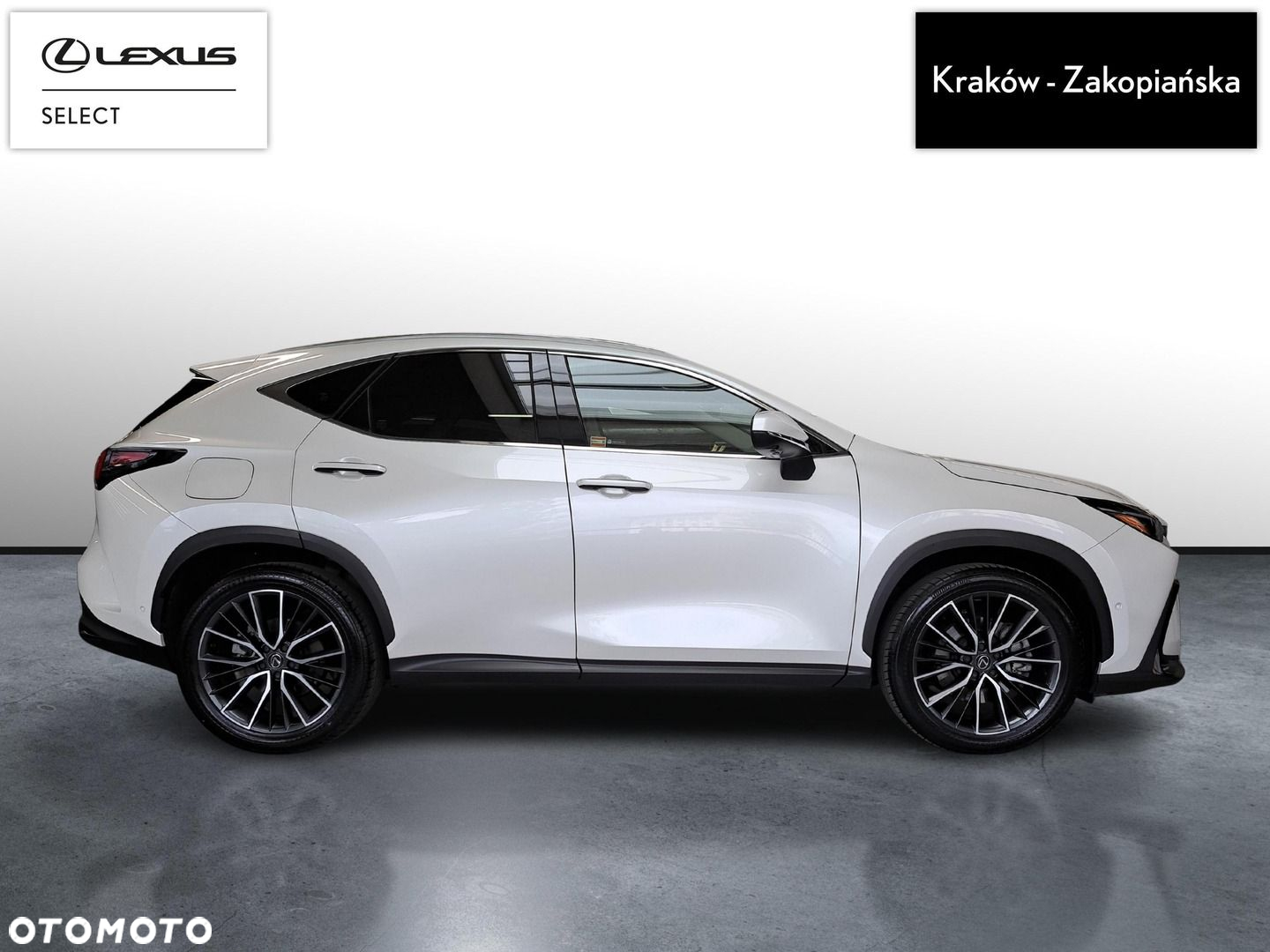 Lexus NX - 6