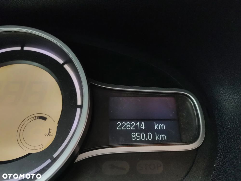 Renault Megane - 14