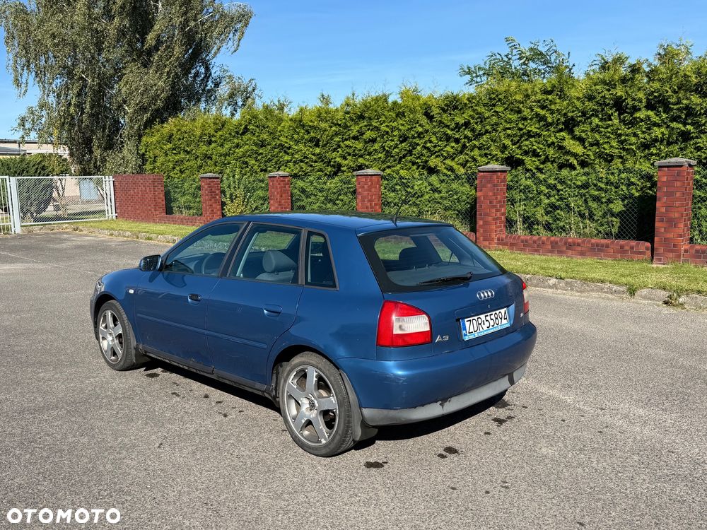 Audi A3 1.6 Ambiente - 5