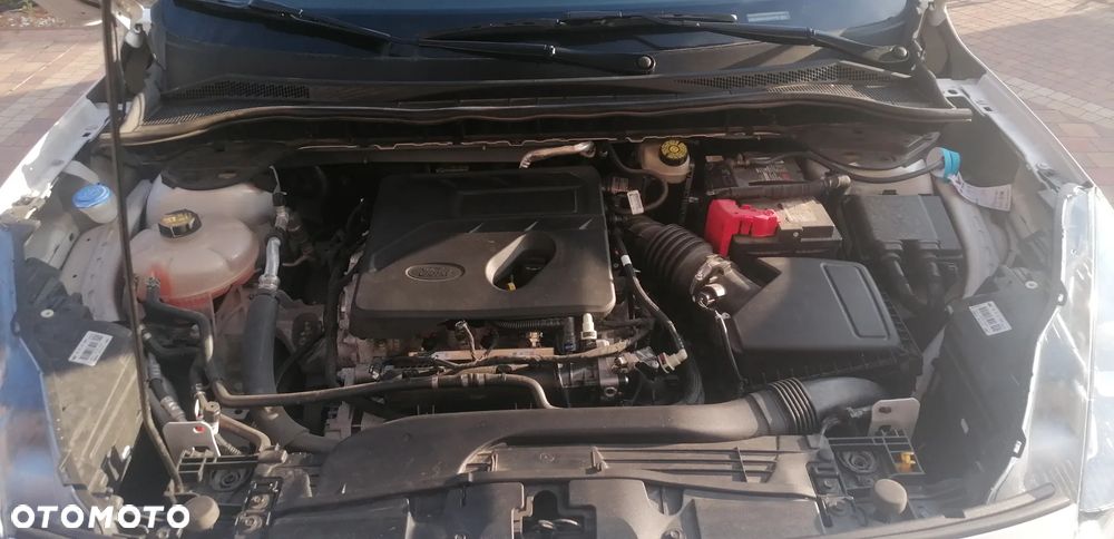Ford Escape - 6