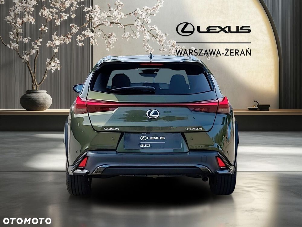 Lexus UX 250h GPF F Sport Design 2WD - 6