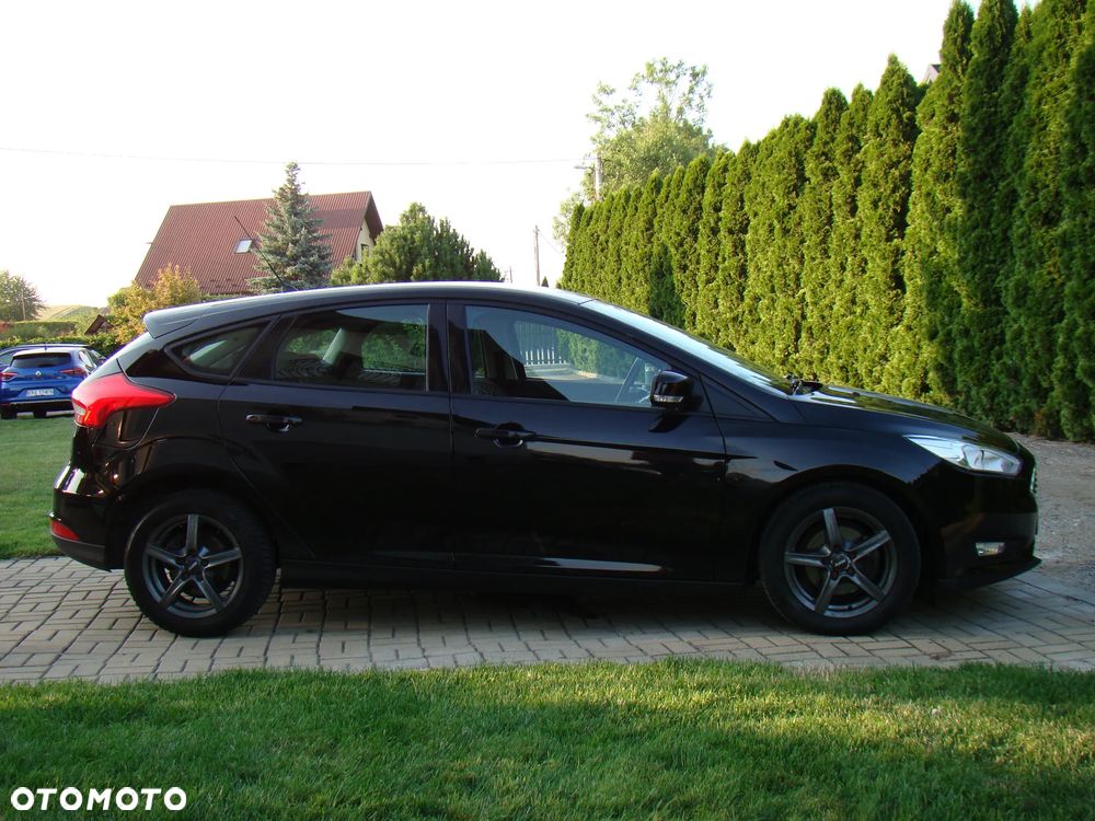Ford Focus - 15