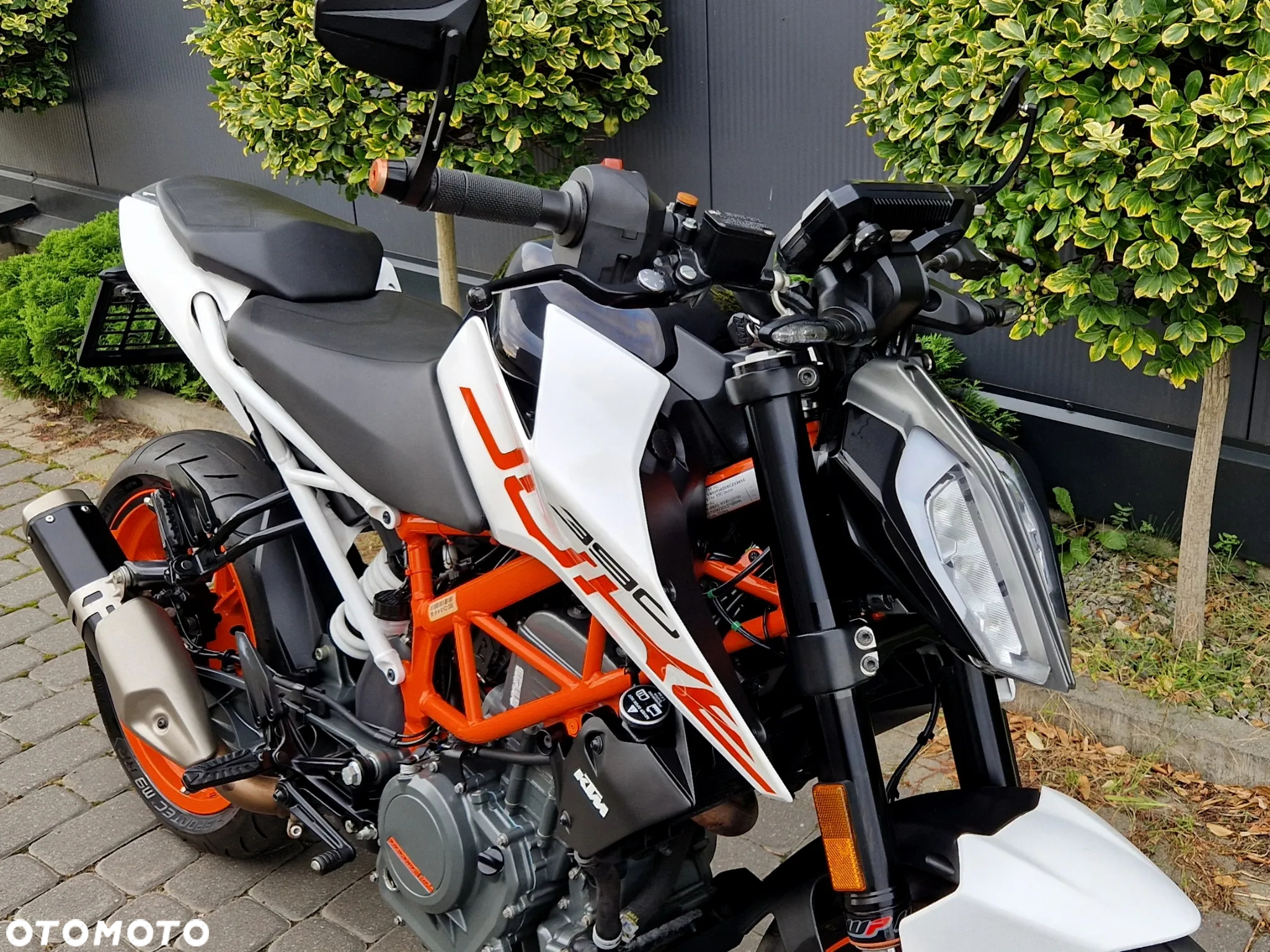 KTM Duke - 15