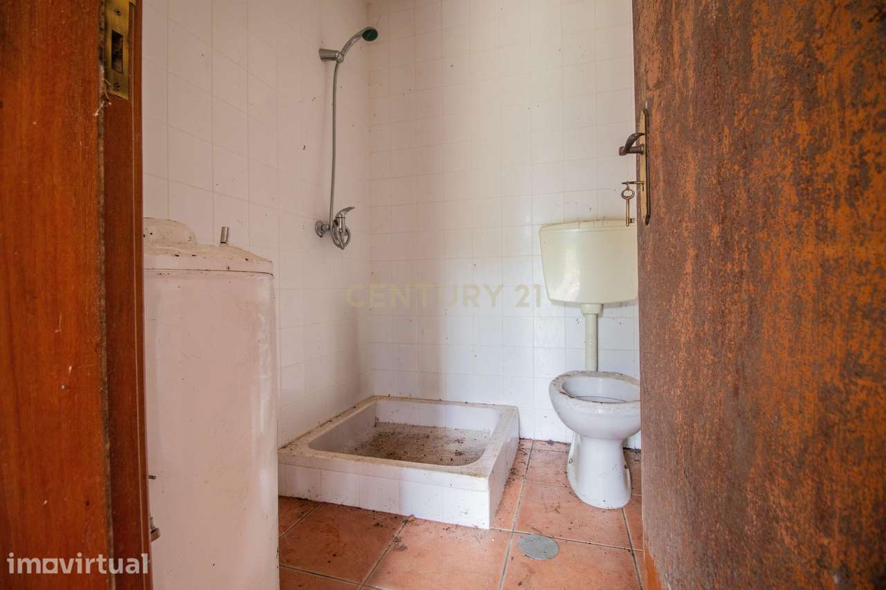 Propriedade rural de 5 hectares e construção - Souselas, Coimbra - Grande imagem: 5/32