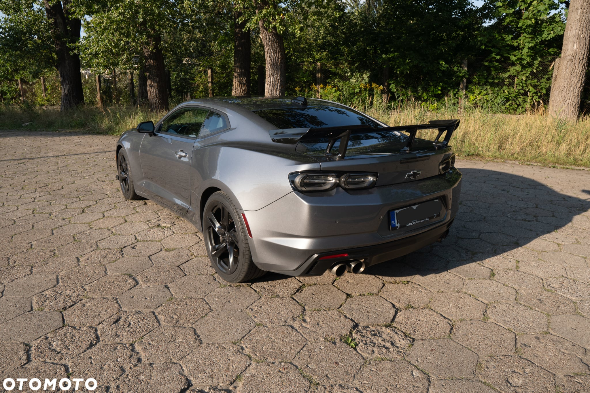Chevrolet Camaro - 17