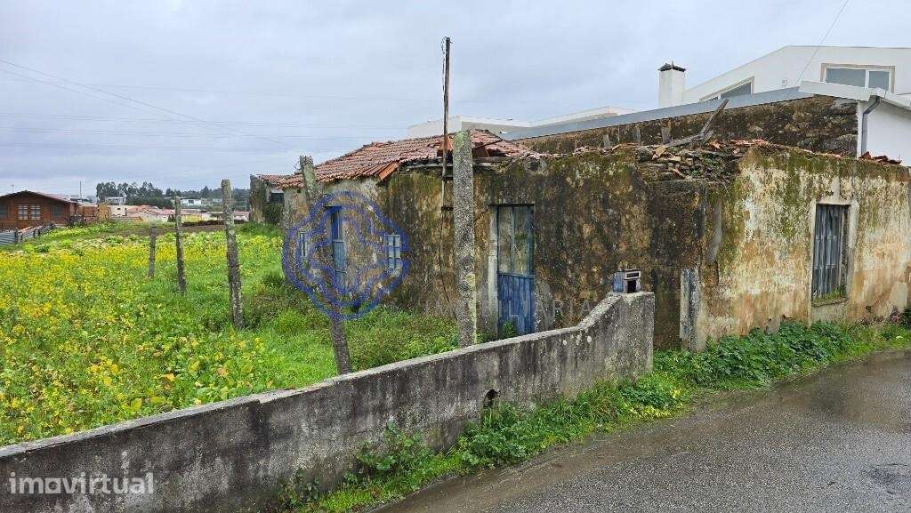 Santa Maria da Feira - Grande imagem: 2/8