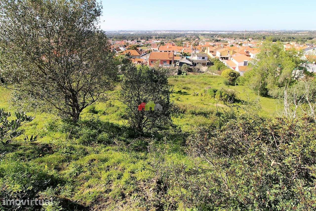 Lote aprovado p/construção de apartamentos e moradias - Grande imagem: 2/3