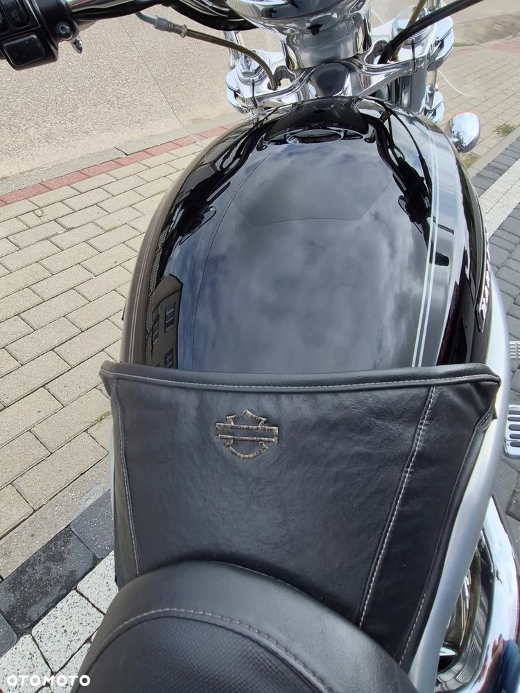 Harley-Davidson V-Rod Street Rod - 13