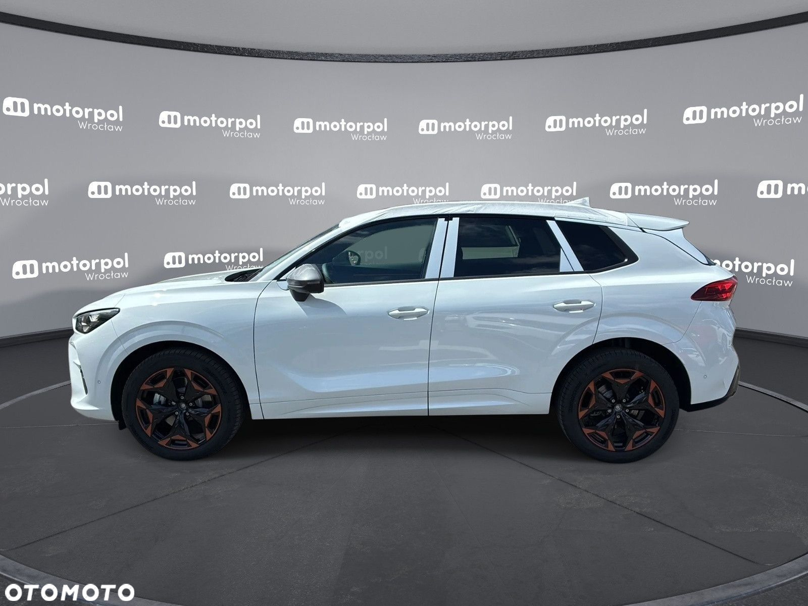 Cupra Terramar - 3