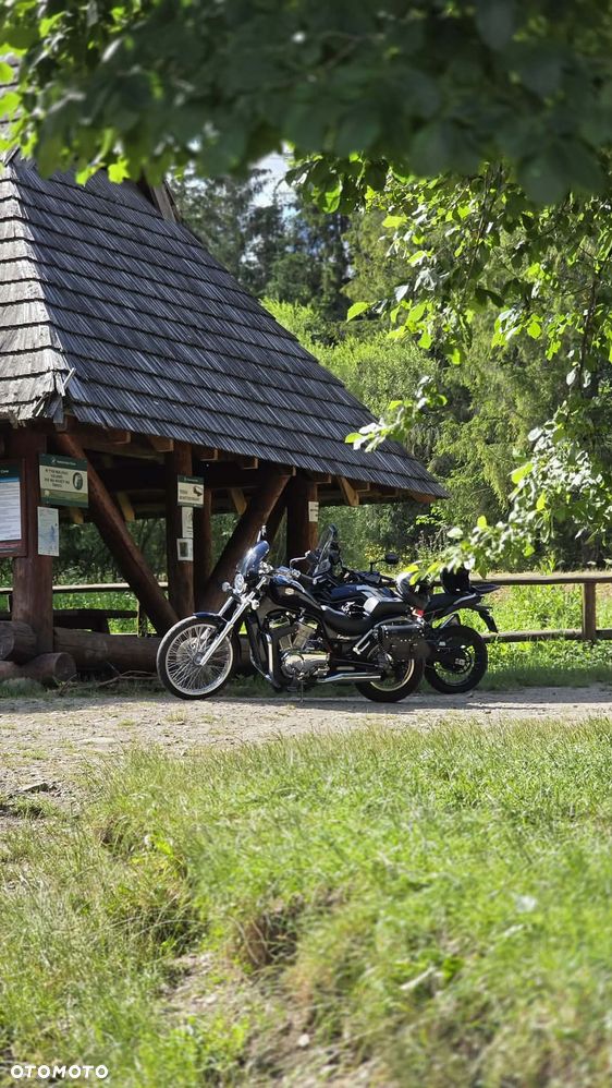 Suzuki Intruder - 8