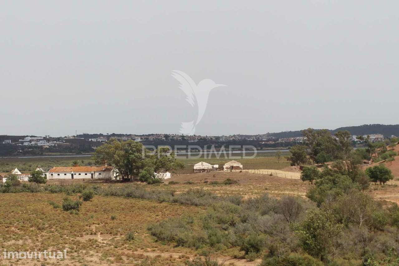 Terreno misto com vista do Guadiana, 126ha, com ruína de 618m2 - Grande imagem: 4/29