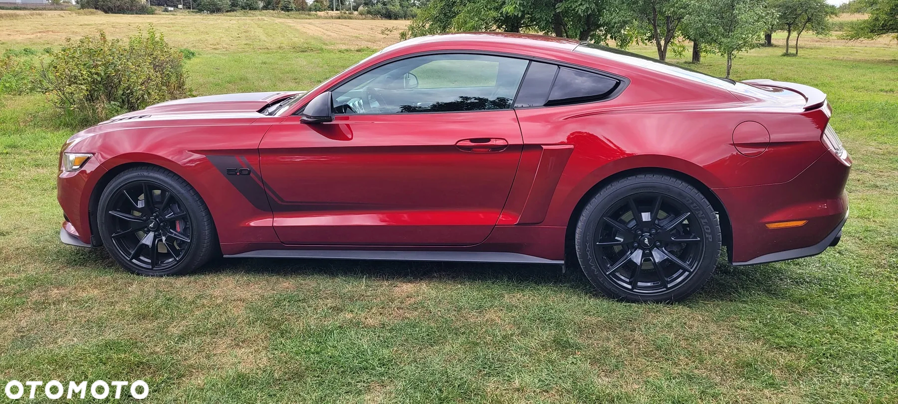 Ford Mustang 5.0 V8 GT - 2