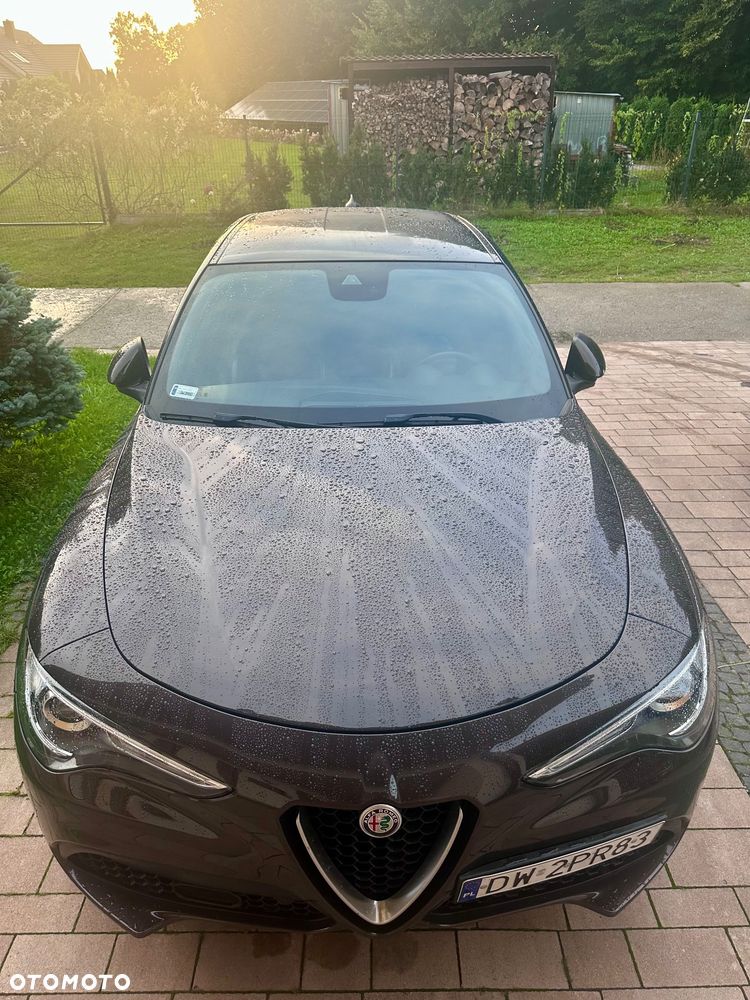 Alfa Romeo Stelvio 2.0 Turbo Executive Q4 - 9
