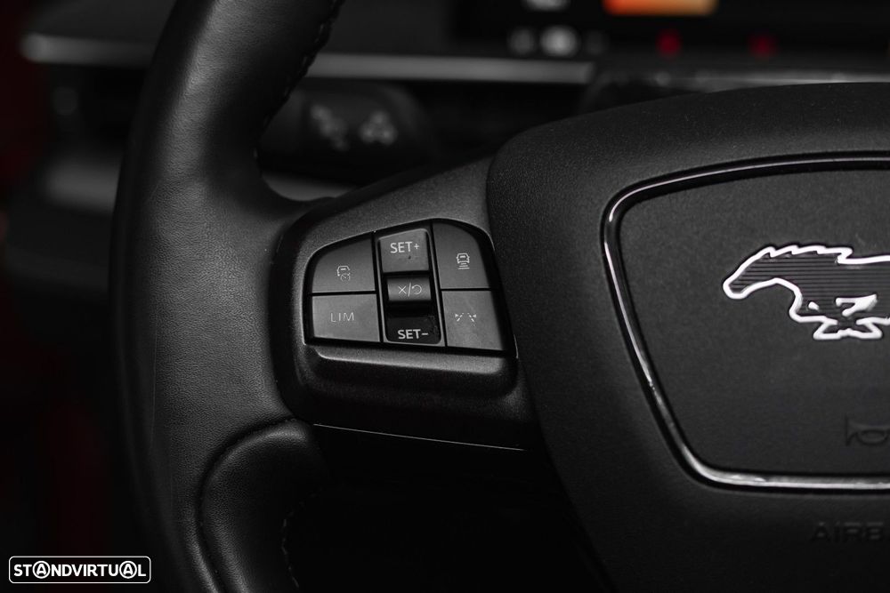 Ford Mustang Mach-E Standard - 21