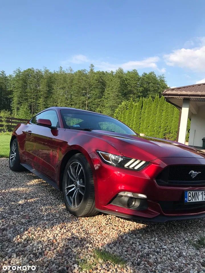 Ford Mustang 2.3 EcoBoost - 3