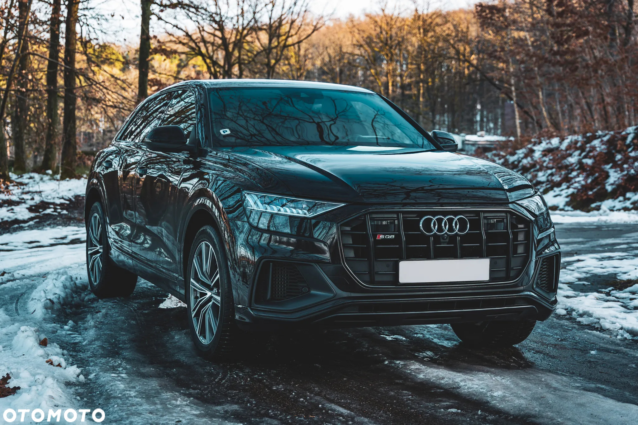 Audi SQ8 - 17